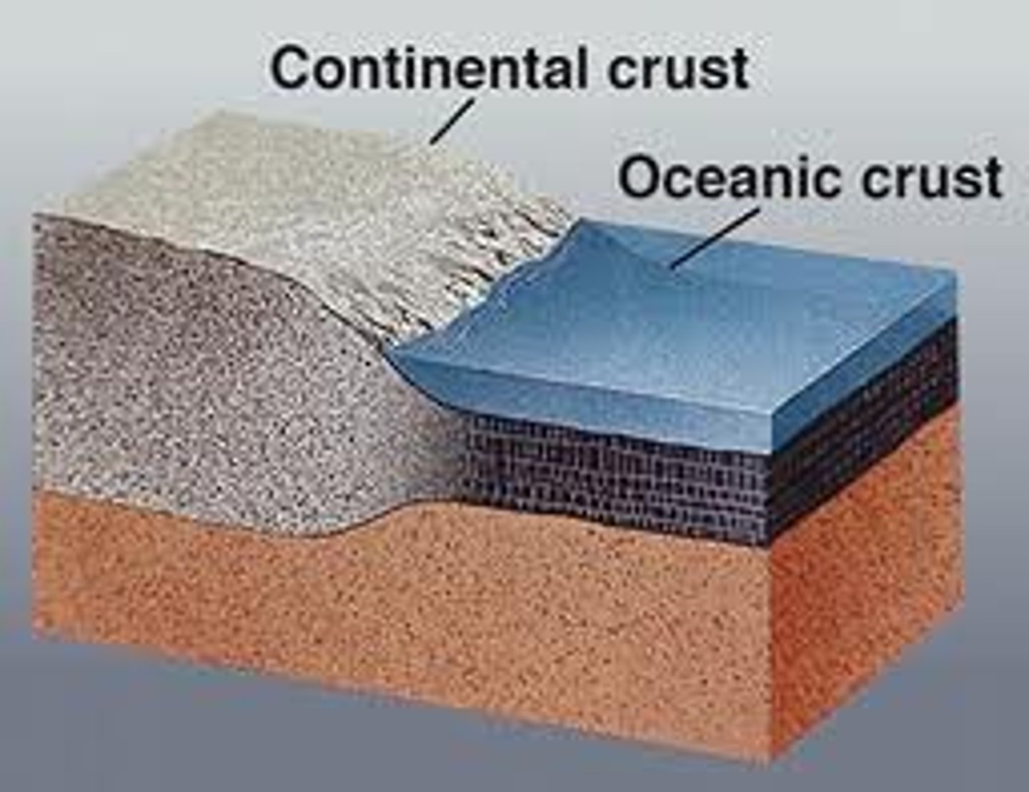 <p>Extends down from the surface of the Earth to 7 miles. Crust is layered and very uniform. Composed of basalt.</p>