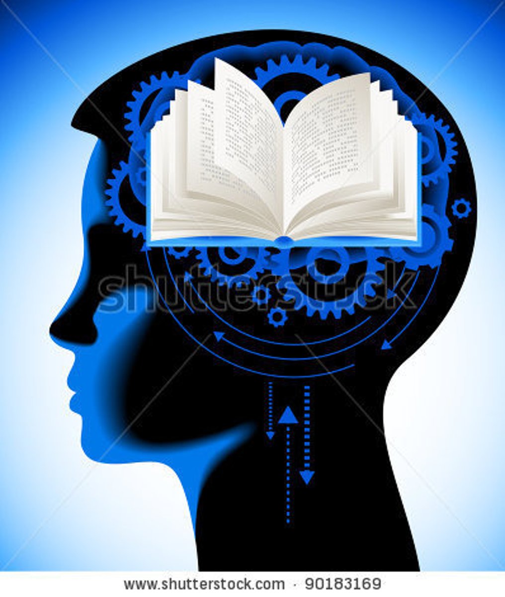 <p>the ability to retain and use information</p>
