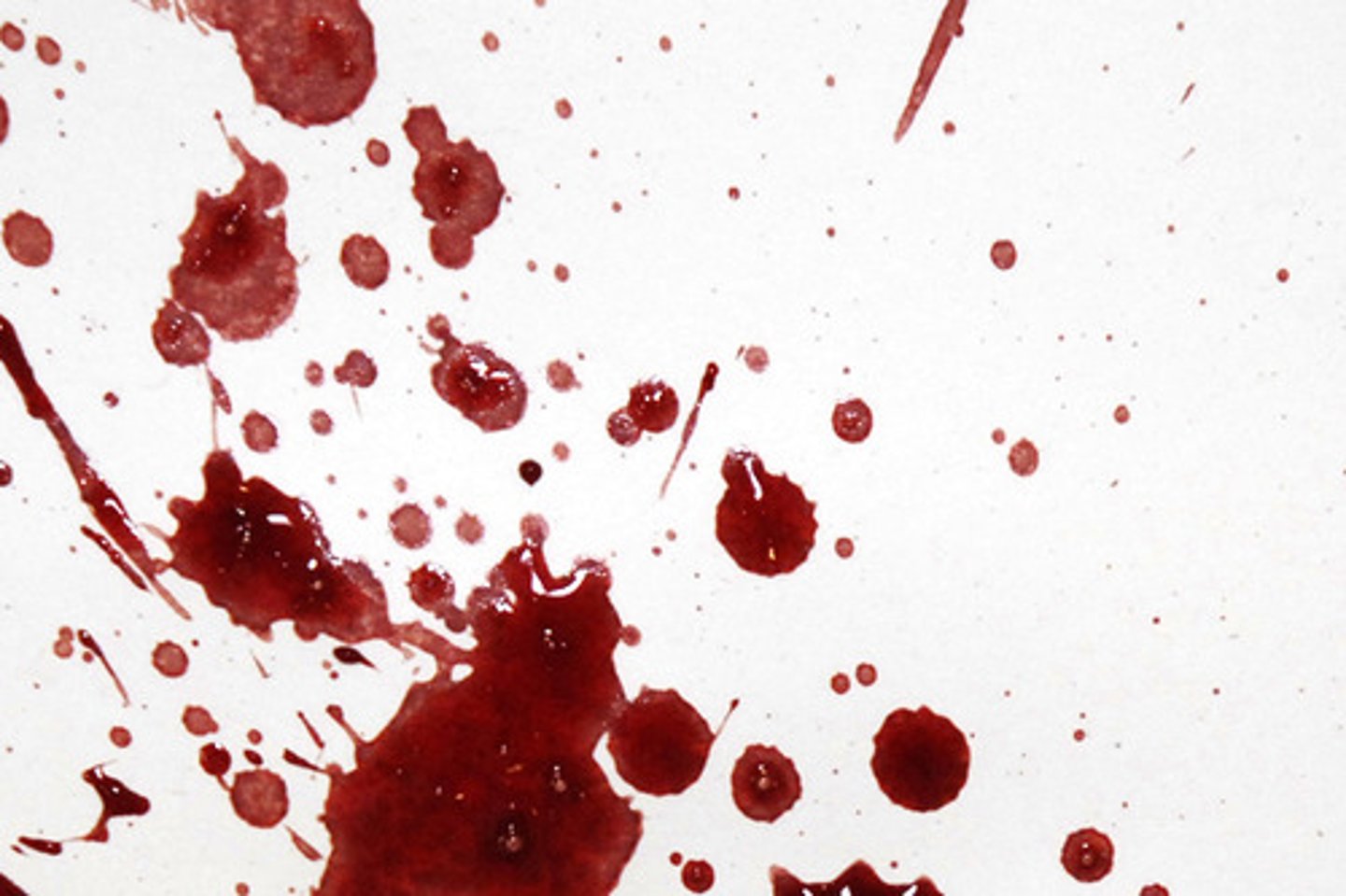 <p>Blood that is blown out of the nose, mouth, or a wound as a result of air pressure and/or air flow which is the propelling force.<br><br>DESCRIPTION: This example was generated by taking blood and mixing it with saliva in the mouth. The blood was then forced out by coughing. Any remaining blood was allowed to flow from the mouth and fall onto the target.<br><br>In the image there are several air bubbles, lighter colored stains, and string-like stains that are not entirely linear. Note that when blood is mixed with saliva, it changes its physical characteristics.</p>