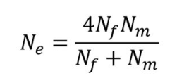 unequal sex ratio affects Ne