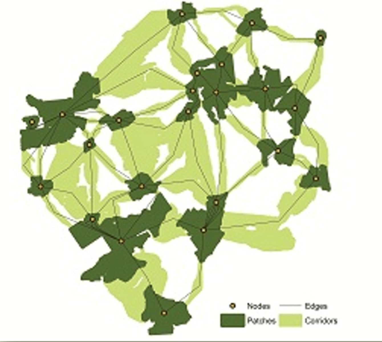<p>influence organism movement and population dynamics</p>