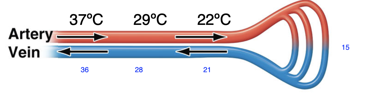<p>explain this in terms of energy conservation </p>