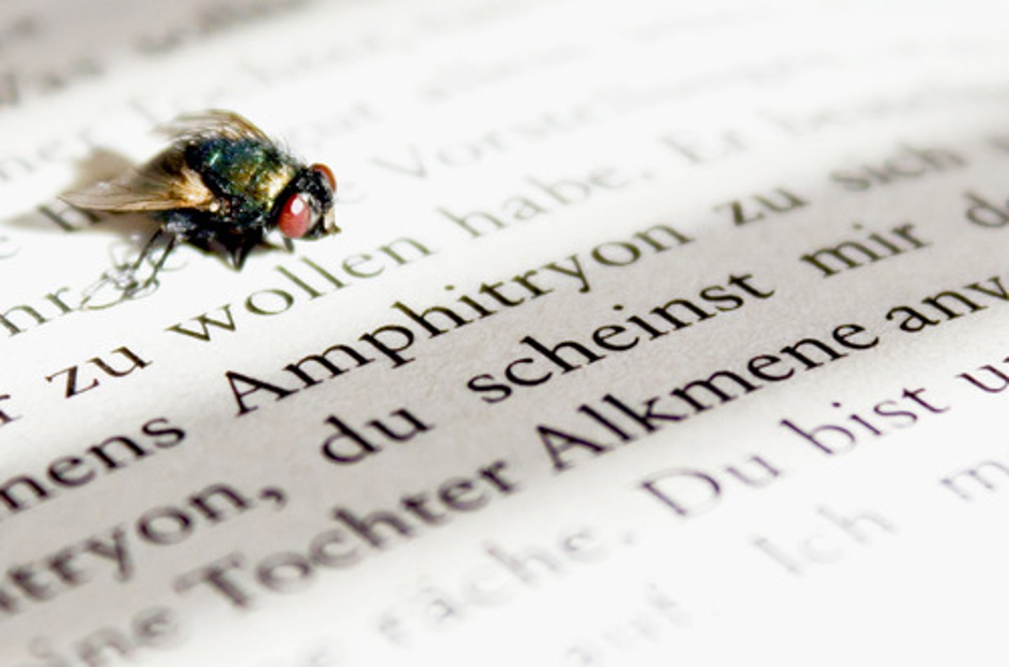 <p>(adv.) 字面上</p>