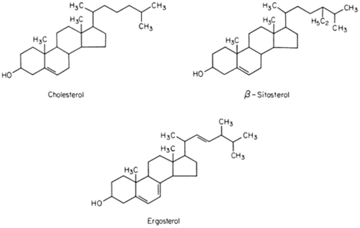 <p>Lipids with ring structure (e.g., cholesterol); class of steroid found naturally in plant</p><p>and animal cells</p>
