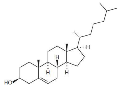 <p>is a steroid of primary importance </p><p>major component of the phospholipid bilayer responsible for mediating membrane fluidity; amphipathic molecule containing both hydrophilic and hydrophobic components; At low temperatures, it keeps the cell membrane from solidifying; at high temperatures, it holds the membrane <span style="font-size: 1.6rem">intact and prevents it from becoming too permeable</span></p><p><span style="font-size: 1.6rem">precursor to many important molecules, including steroid hormones, bile acids, and vitamin D</span></p>