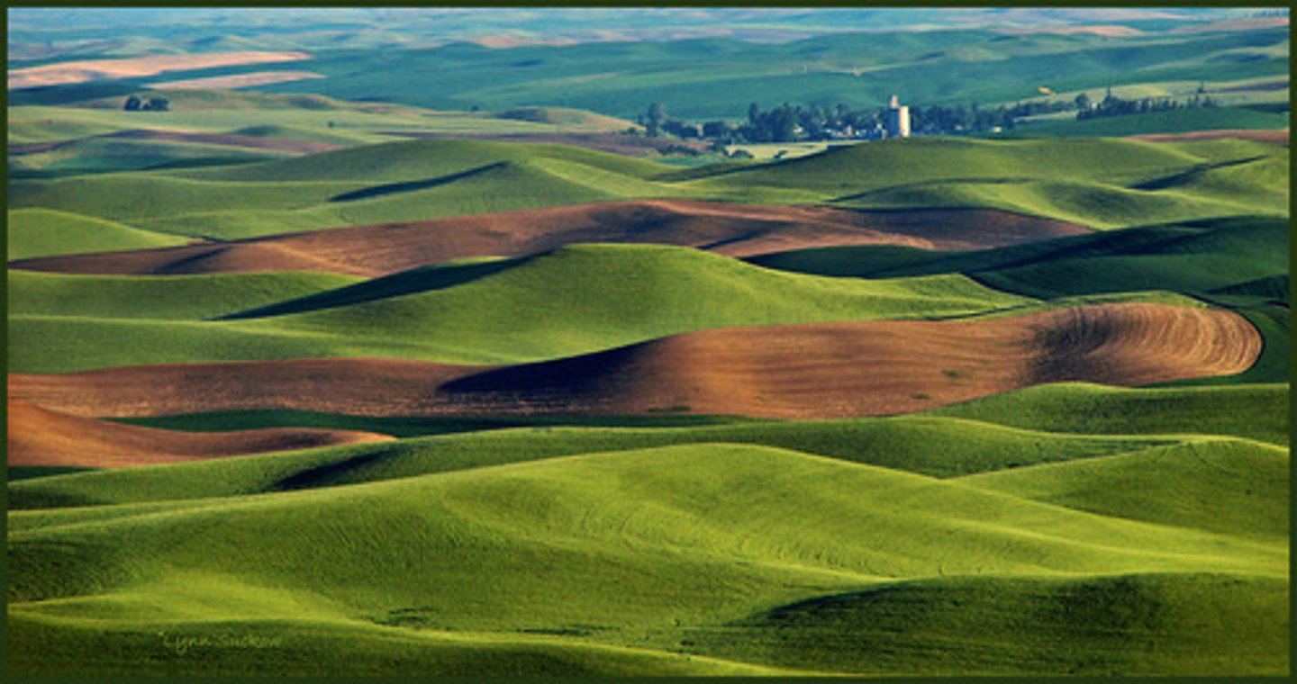 <p>hills</p>