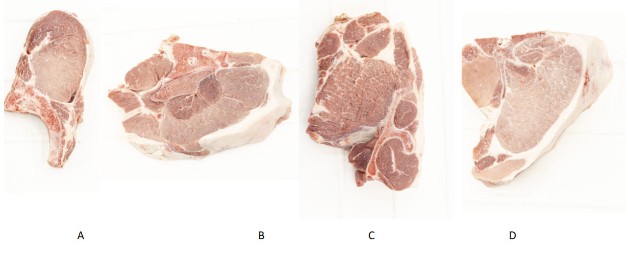 <p>Order from anterior to posterior</p>