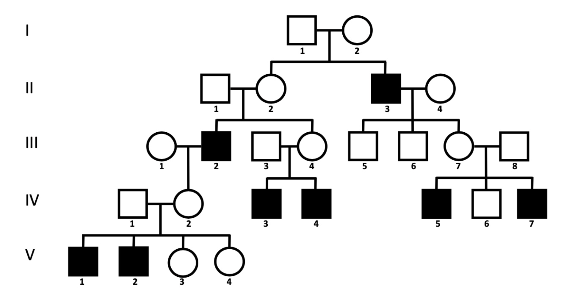 <ol start="2"><li><p>Identify the genotype of individuals in generations I and II:</p></li></ol><p></p>