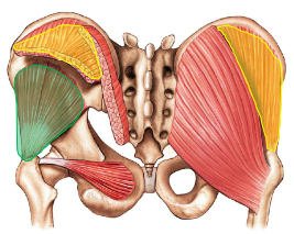 <p>What is this?</p>