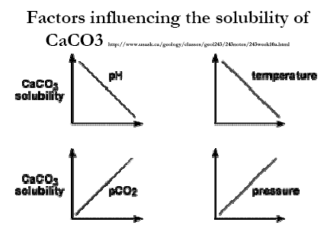 <p>shallow seafloor in higher latitudes where seawater is undersaturated with CaCO3</p>