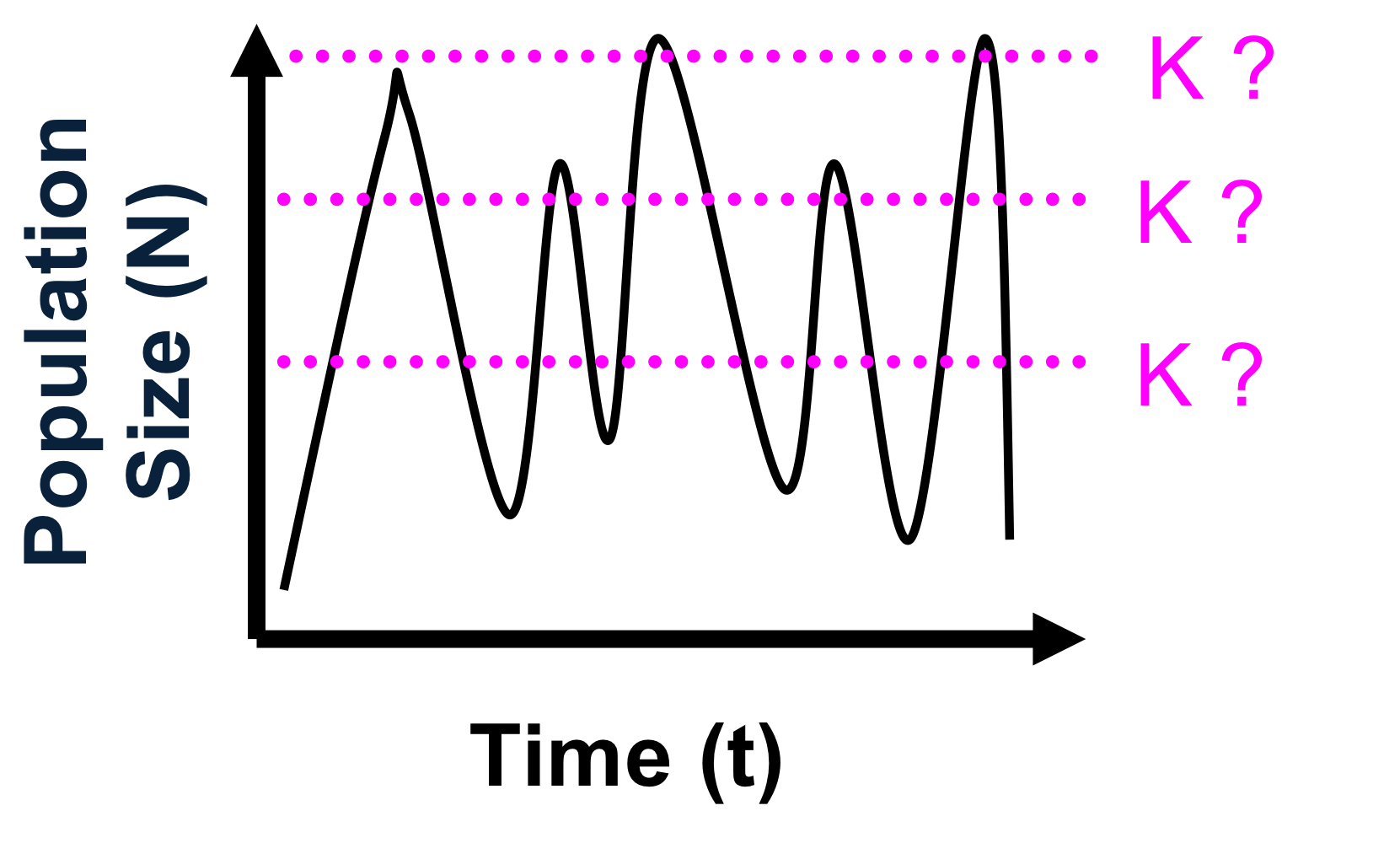 <p>explain the graph</p>