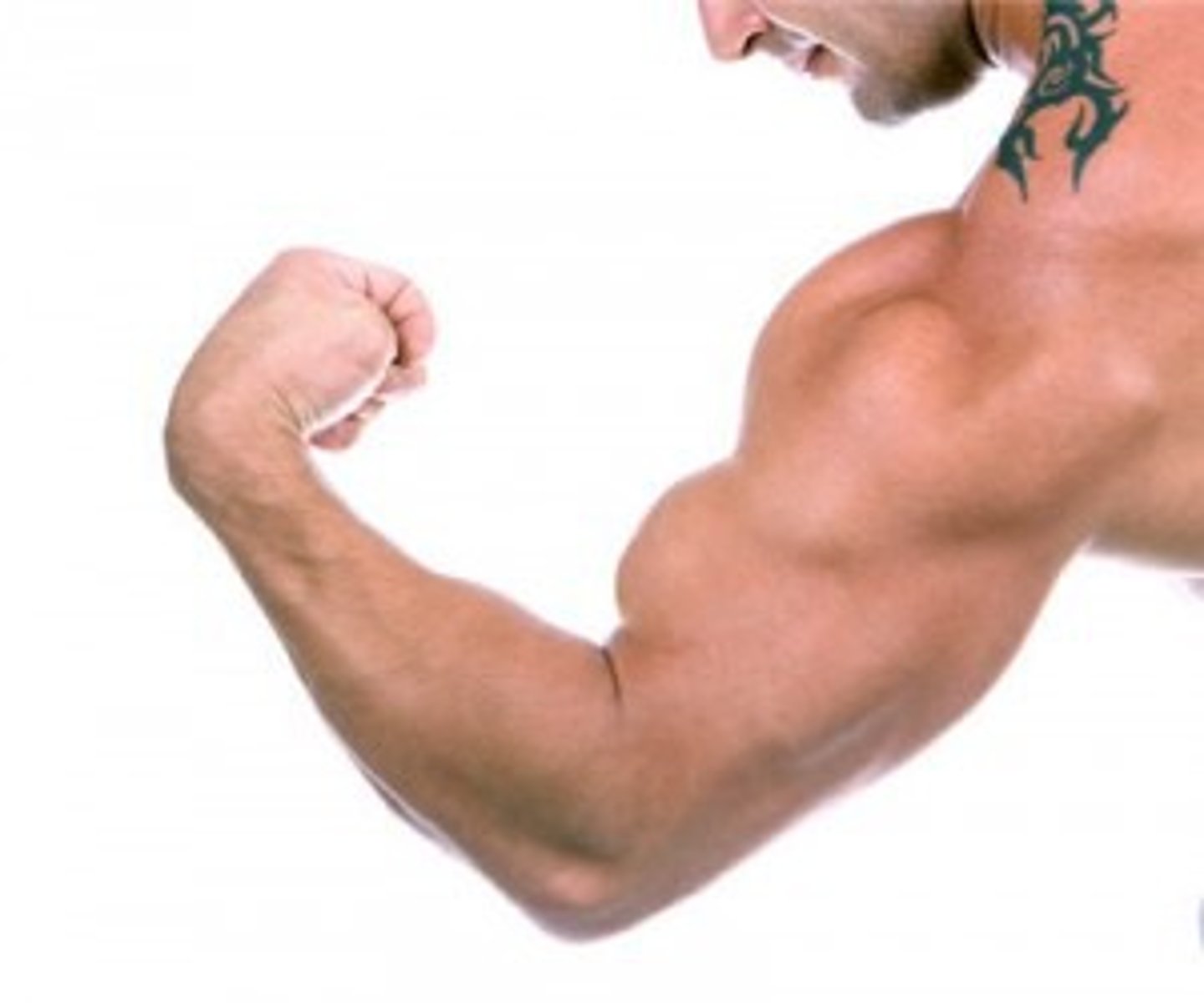 <p>to flex, to stretch</p>