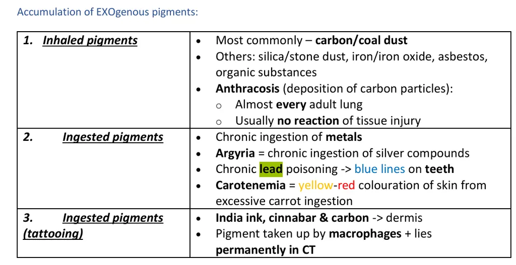 <p><strong><span>Which exogenous pigment could be deposited in the oral cavity?</span></strong> </p><p>a) coal dust, </p><p>b) copper, </p><p><strong>c) lead, </strong></p><p>d) none of the above</p>