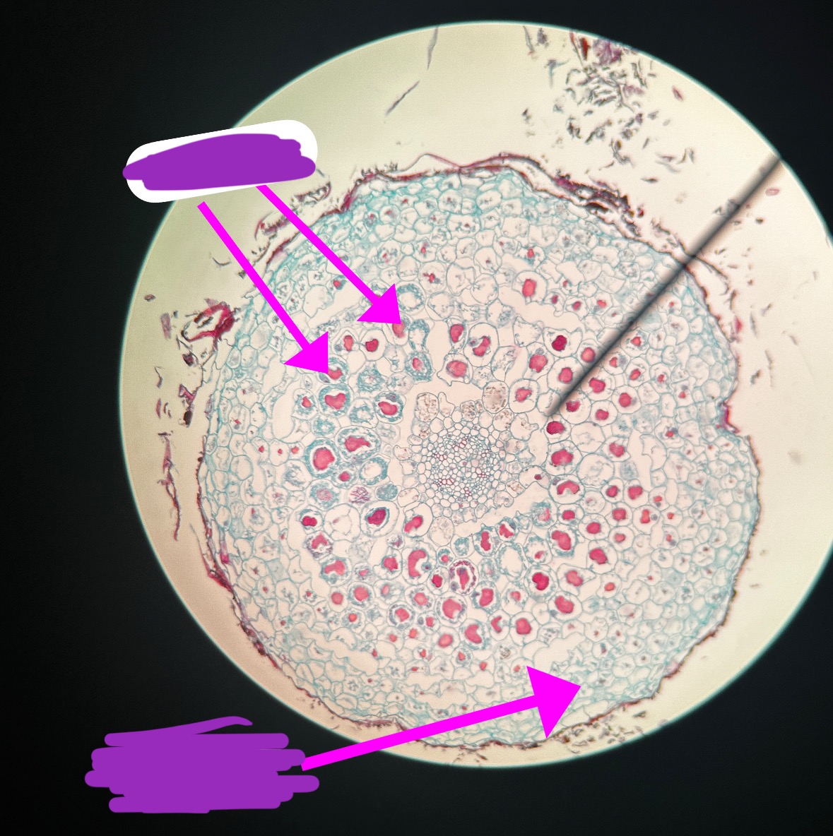 <p>Label + What is it?</p>