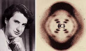 Crick and Watson, found double helix structure,
helped by other scientists eg: Rosalind Franklin X-ray crystallography discovered helical shape.
