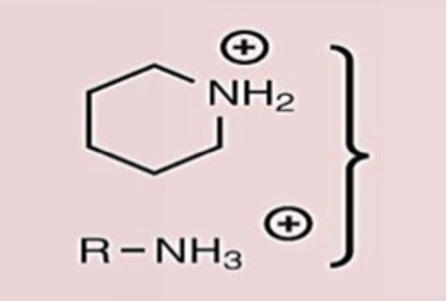 <p>Conj. Acid</p>
