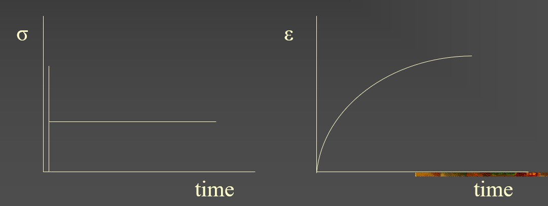 <p>These graphs represent which spring and dashpot model?</p>