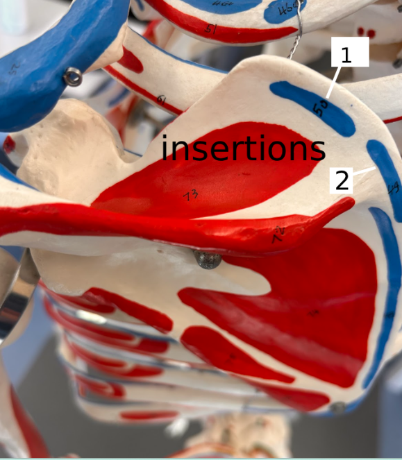 <p>1</p>