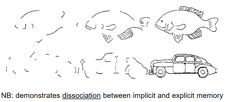 <p>e.g. Being able to learn <u>how</u> to recognize incomplete pictures. </p>