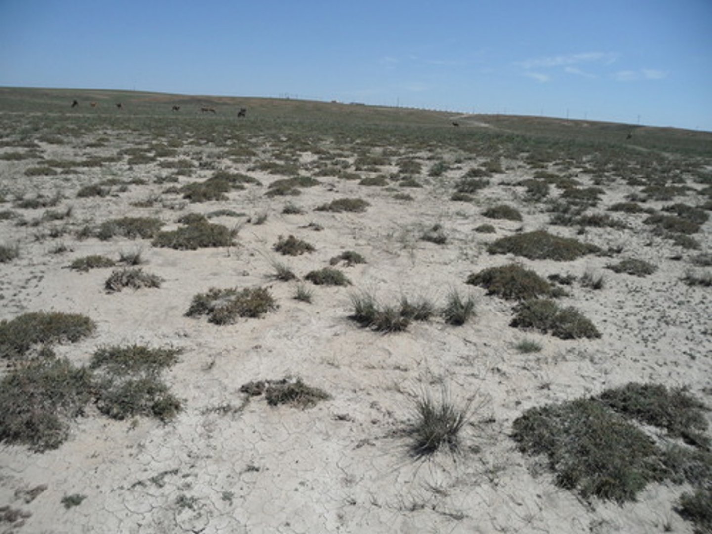 <p>sự suy thoái</p>