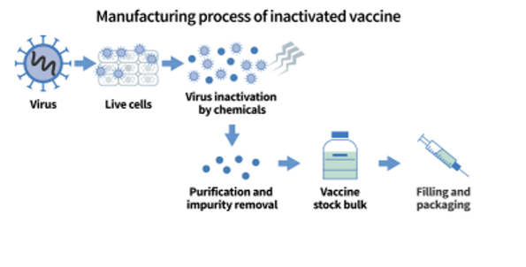 <p>No, because the immune system will only produce one humoral response, so booster/ multiple doses are necessary to achieve “active” immunity</p><p></p>