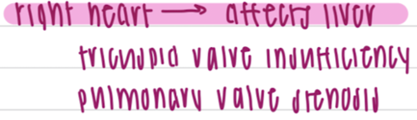 <p>right heart lesion/failure</p>