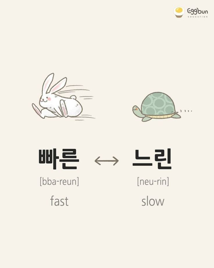 <p>느리다</p>