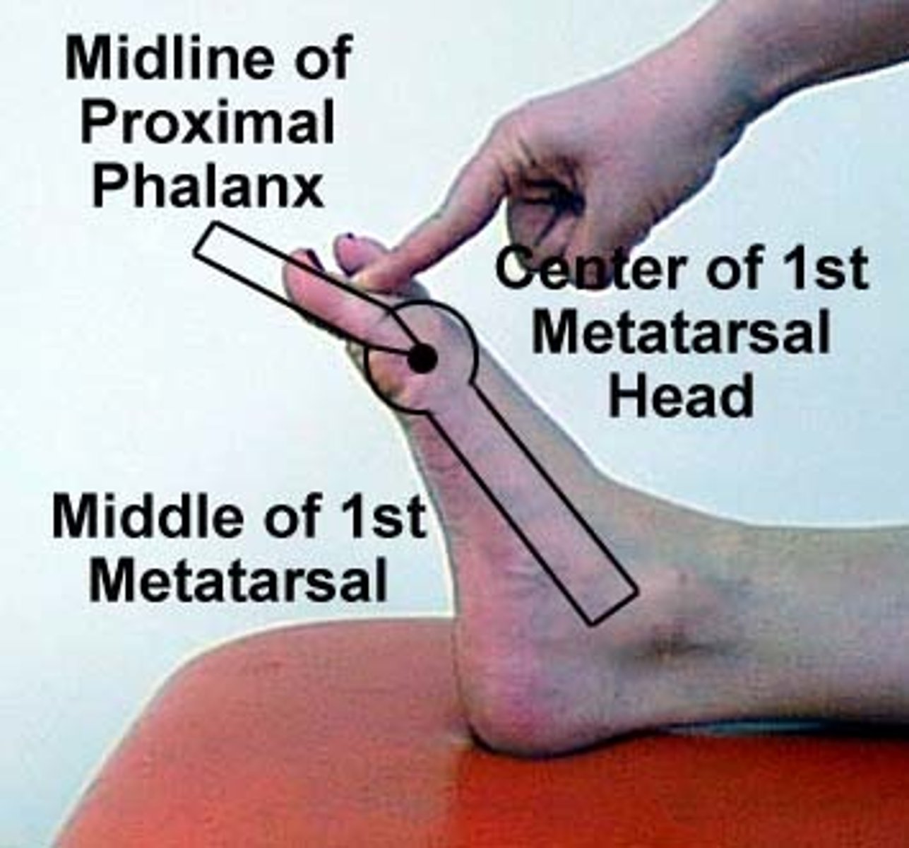 <p>supine, feet off table </p><p>stationary arm: 1st metatarsal </p><p>fulcrum: 1st MTP joint </p><p>moving arm: 1st phalange </p>