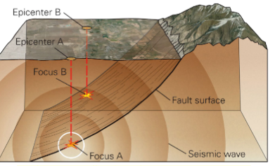 <p>It is the location where the fault  slip occurs. Usually on a fault surface</p>