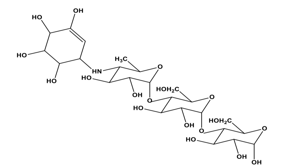 <p>acarbose (prelose)</p>