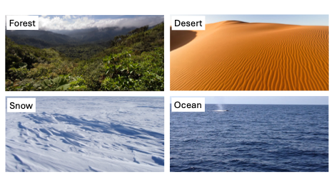 <p><span>The albedo of a surface describes its reflectivity. Please rank these surfaces from highest to lowest albedo.</span></p>