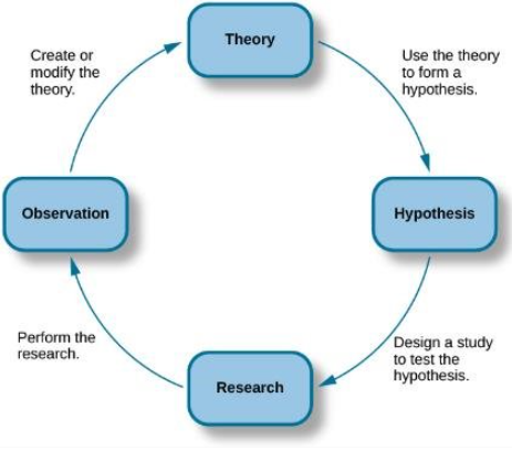 <p>Hypothesis</p>