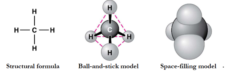 <p>what is the simplest hydrocarbon? </p>