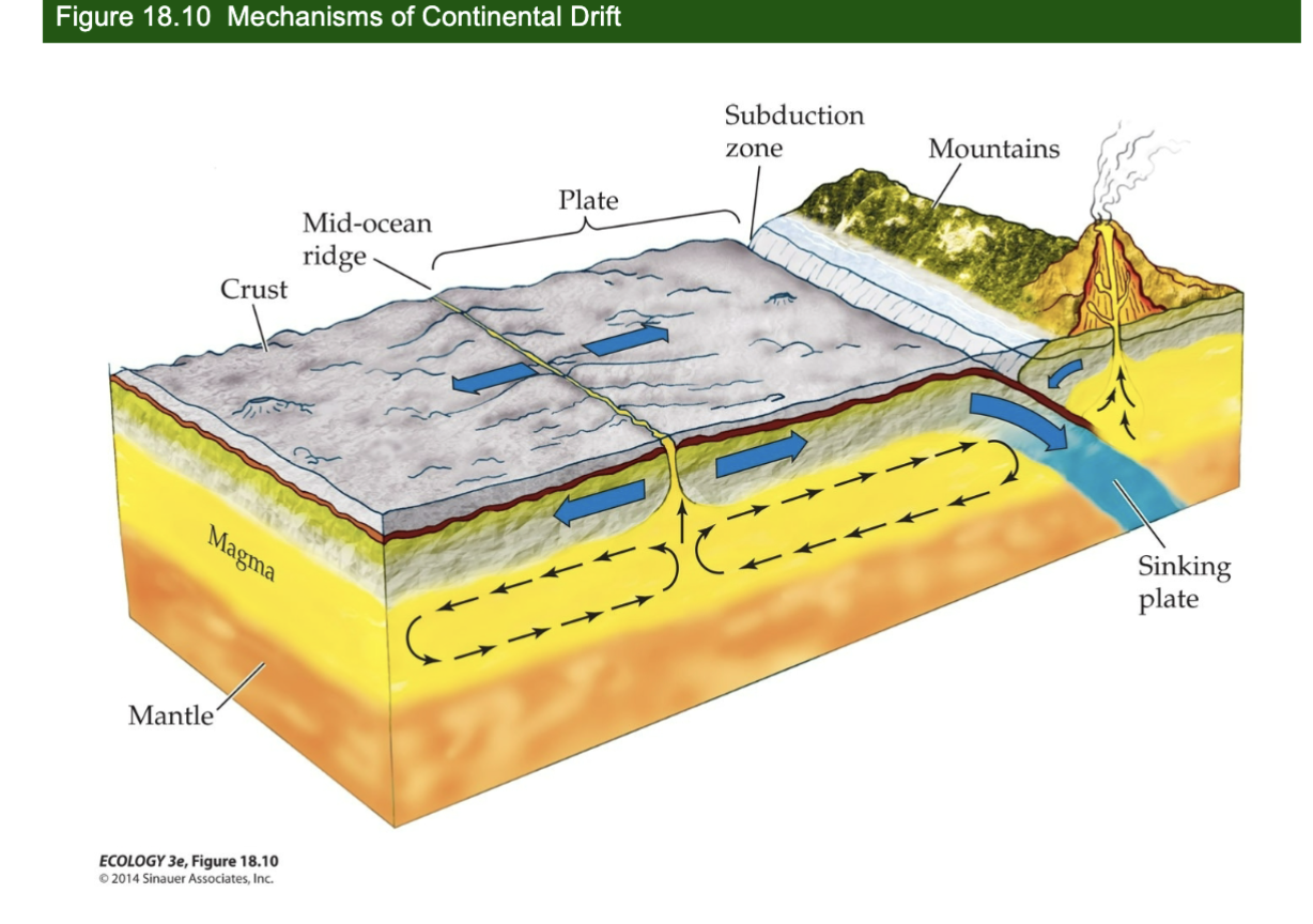 <p></p><p class="p1"></p><p class="p1">Mid-Ocean Ridges</p>