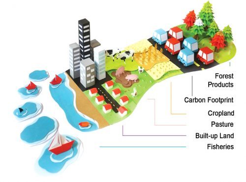 <p>Ecological footprint</p>