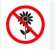 <p>Forms by Inorganic processes </p>