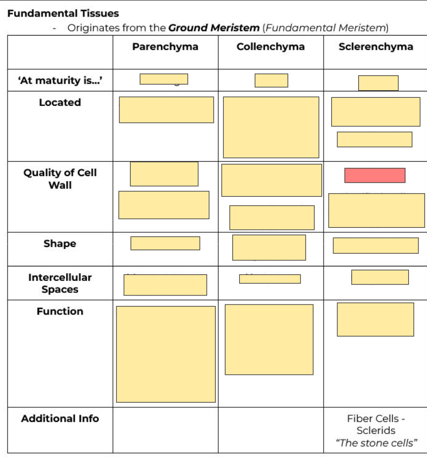 <p>Thickness of cell wall?</p>