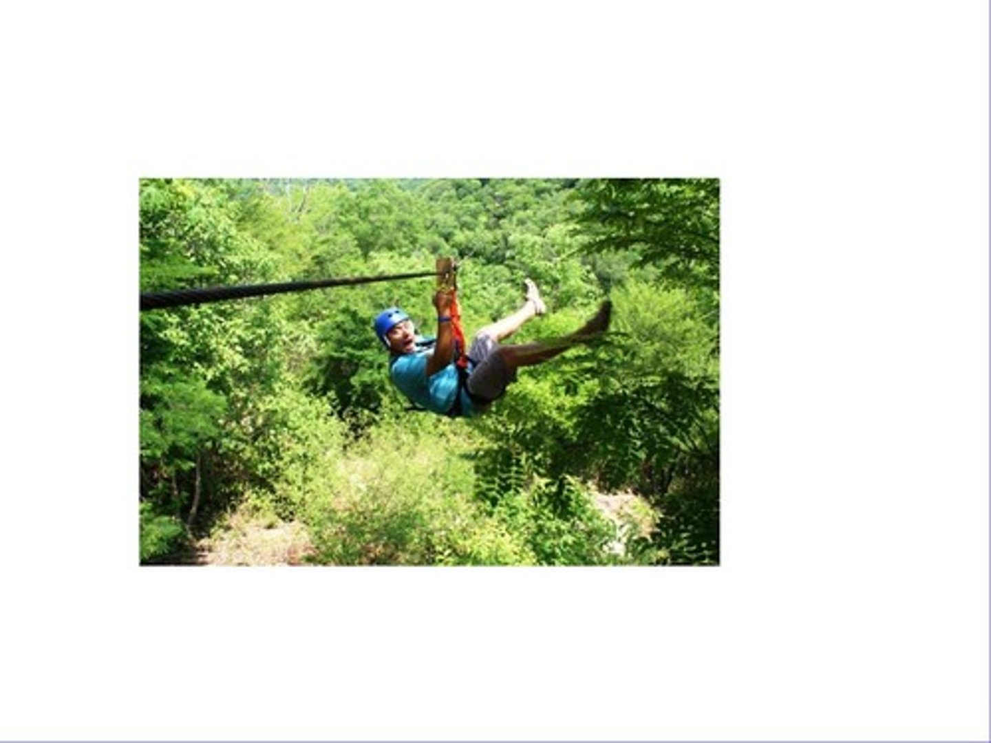 <p>to do zip lining</p>