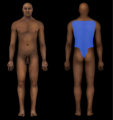 Dorsal Region