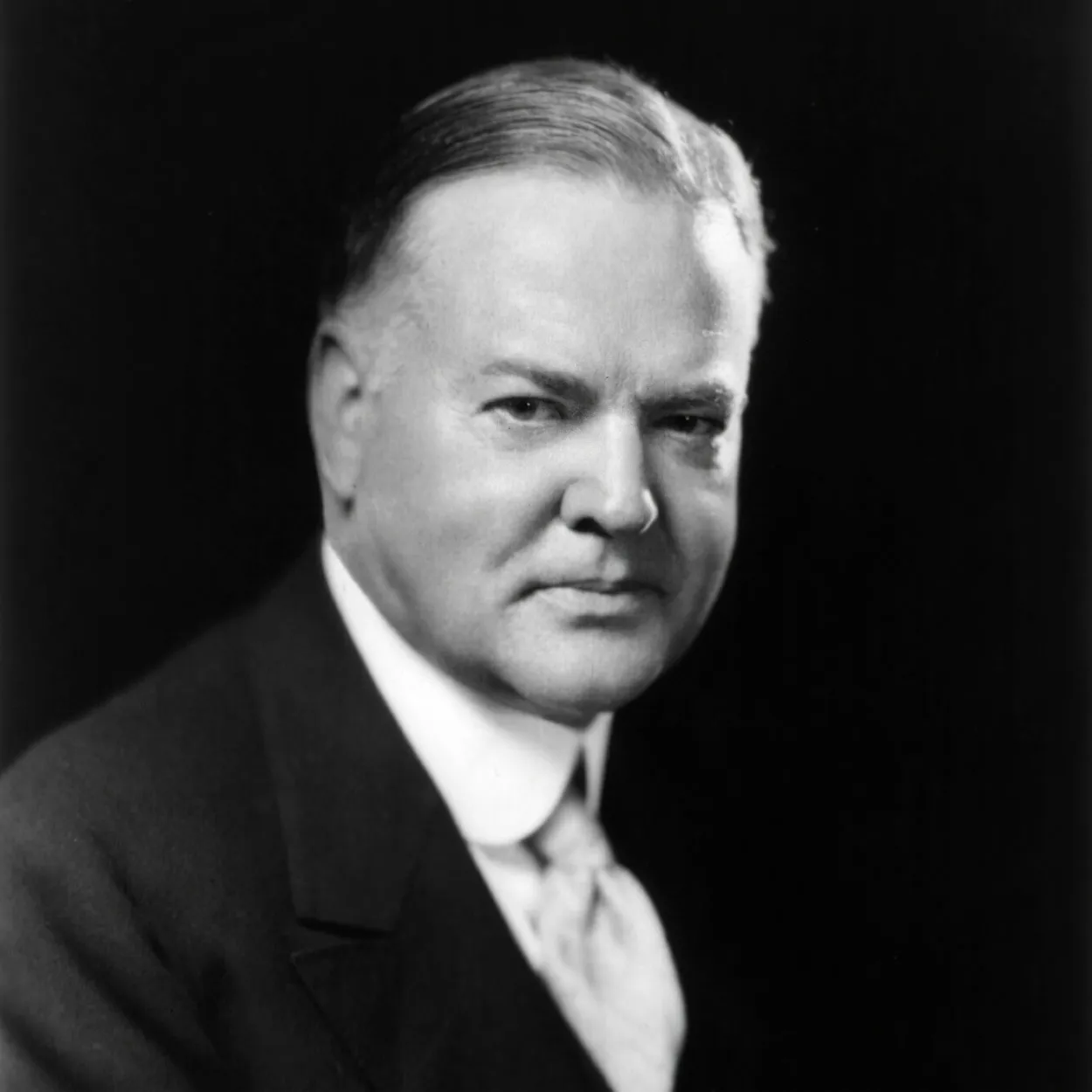 <p>Herbert Hoover <span data-name="scream" data-type="emoji">😱</span><span data-name="chart_decreasing" data-type="emoji">📉</span><span data-name="loudly_crying_face" data-type="emoji">😭</span></p>