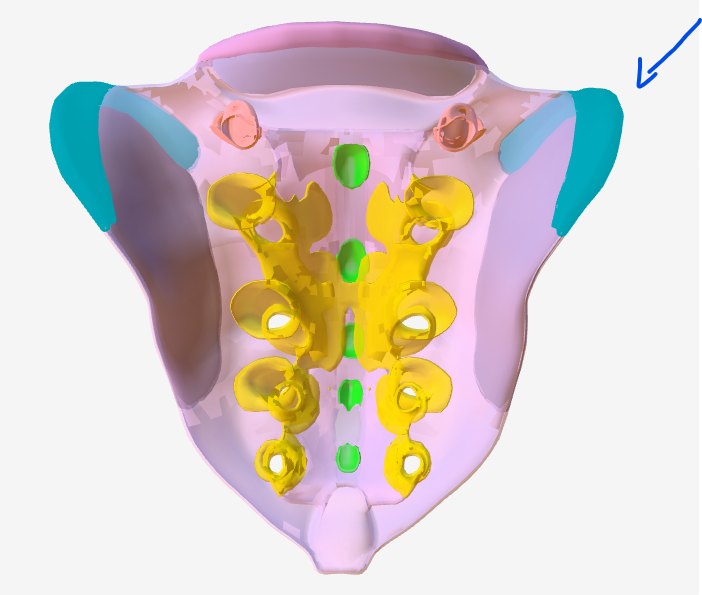 <p>Hoe heet het onderdeel van dit bot?</p>
