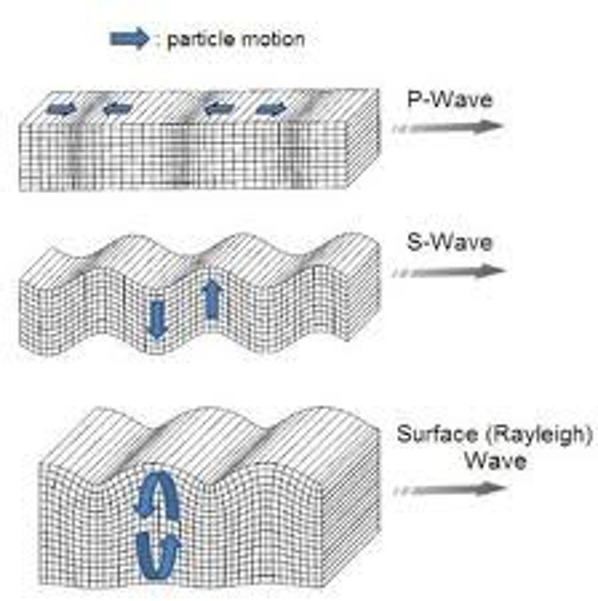 <p>seismic waves that travel along the Earth's surface instead of below it</p>