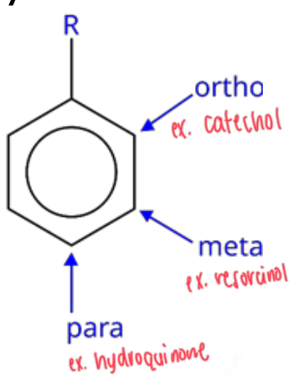 <ul><li><p>ortho</p></li><li><p>meta</p></li><li><p>para</p></li></ul><p></p>