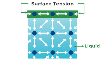 <p>Cohesion</p>