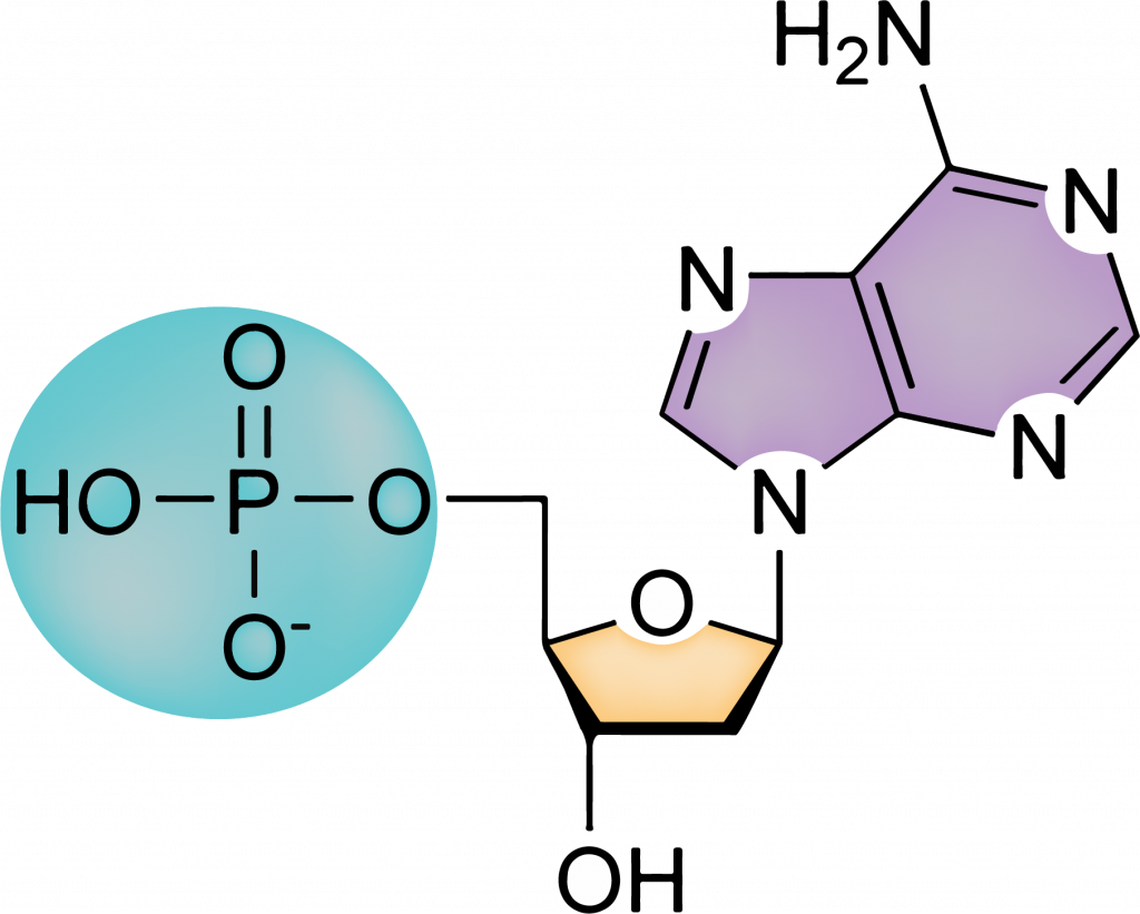 <p></p>