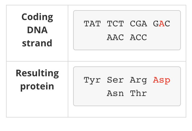 <p><span><span>changes in a single base that lead to a change in both the resulting mRNA codon and the amino acid in the protein product.</span></span></p>