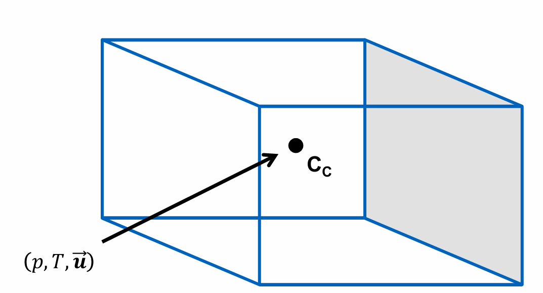<p>Describe how Finite-Volume Method is used to discretise a generic 3D polyhedral cell</p>