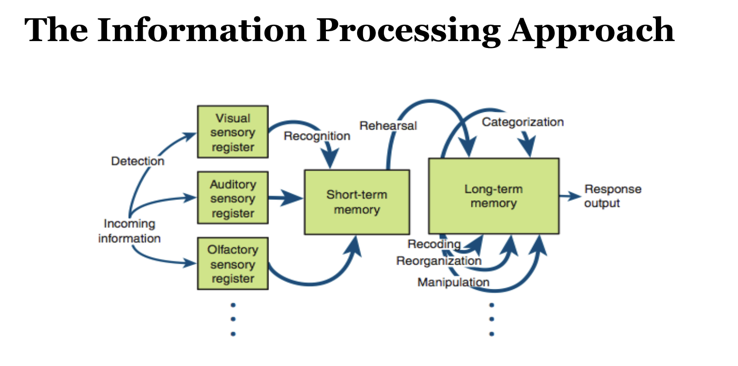 <p>The Evolutionary Approach</p>