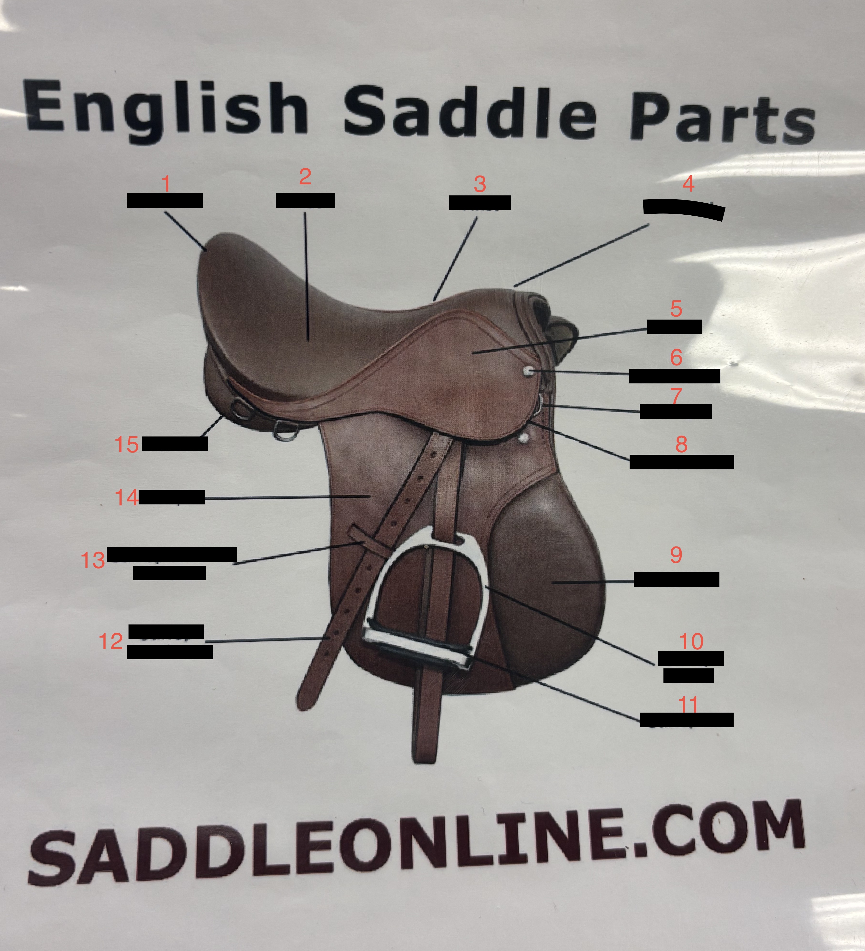 <p>English Saddle Parts: What is #1? </p>