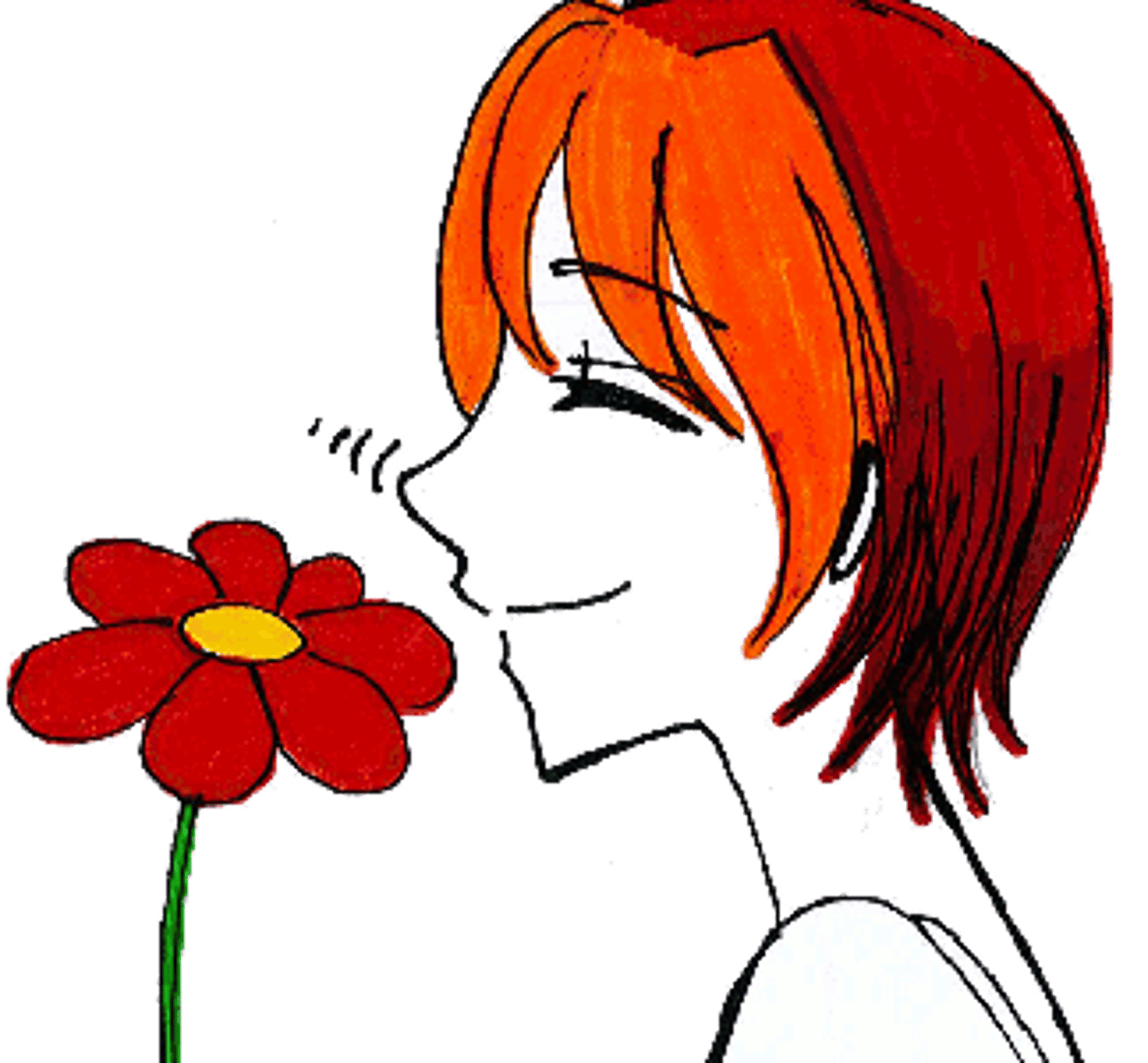 <p>past participle of sentir</p>